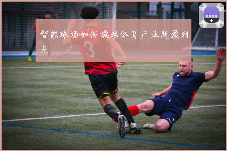 智能球场如何撬动体育产业新盈利点