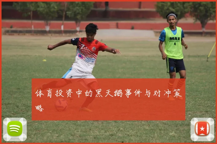 体育投资中的黑天鹅事件与对冲策略