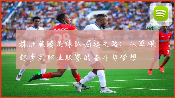 株洲狼腾足球队崛起之路：从草根起步到职业联赛的奋斗与梦想